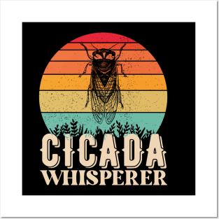 Cicada Whisperer 2024 Posters and Art